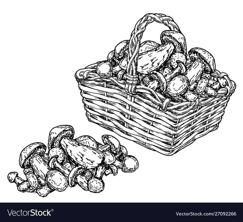 Корзина с грибами раскраска