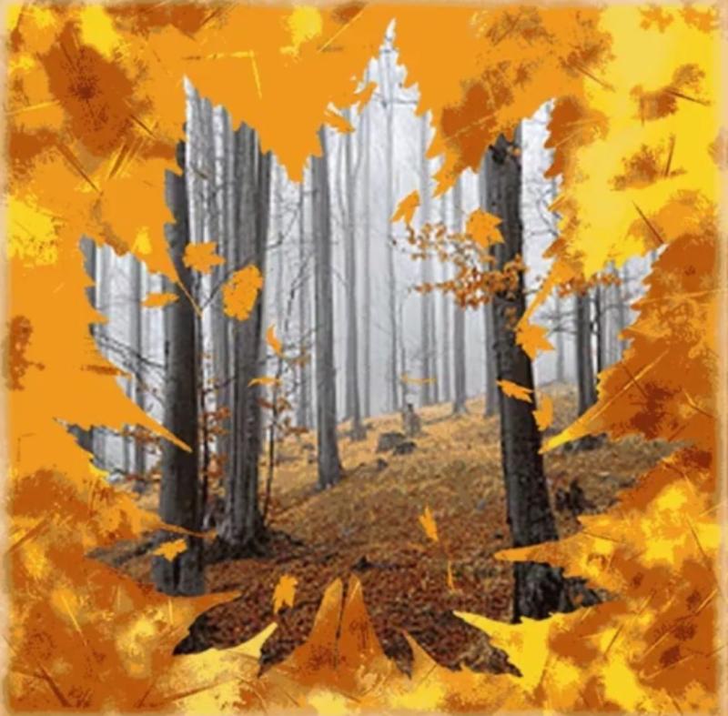 Конкурс осенние краски