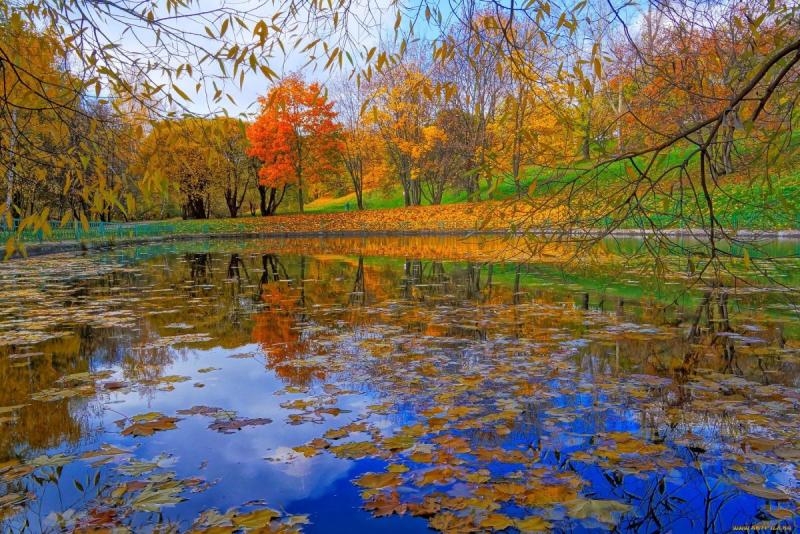 Позитивная осень