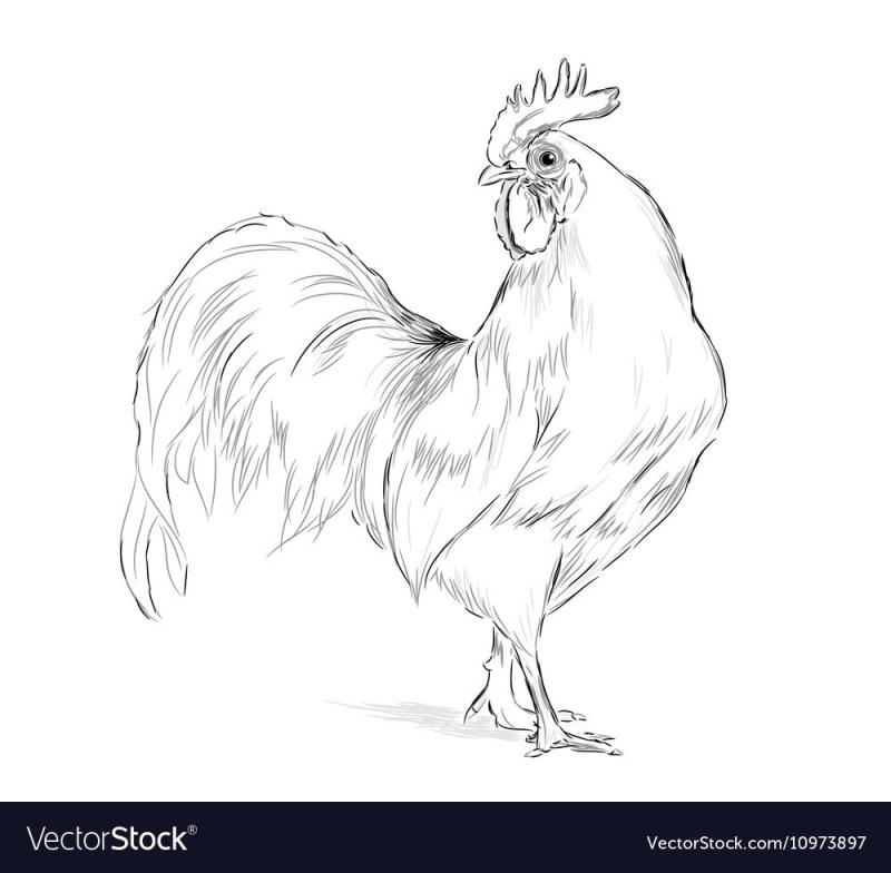 Marcia Baldwin картины куры