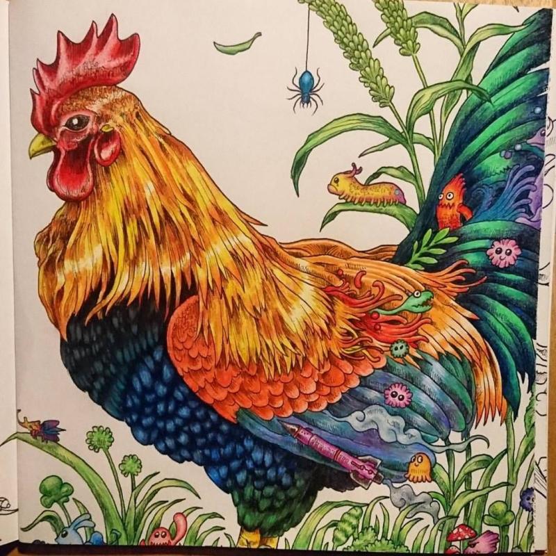 Петух цветными карандашами