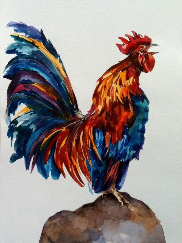 Петух с разноцветным хвостом