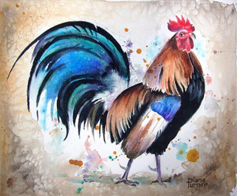 Петух картинка