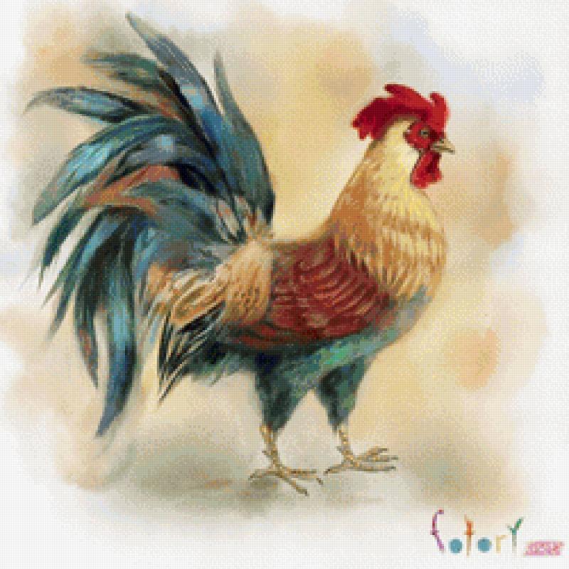 Нарисовать петуха