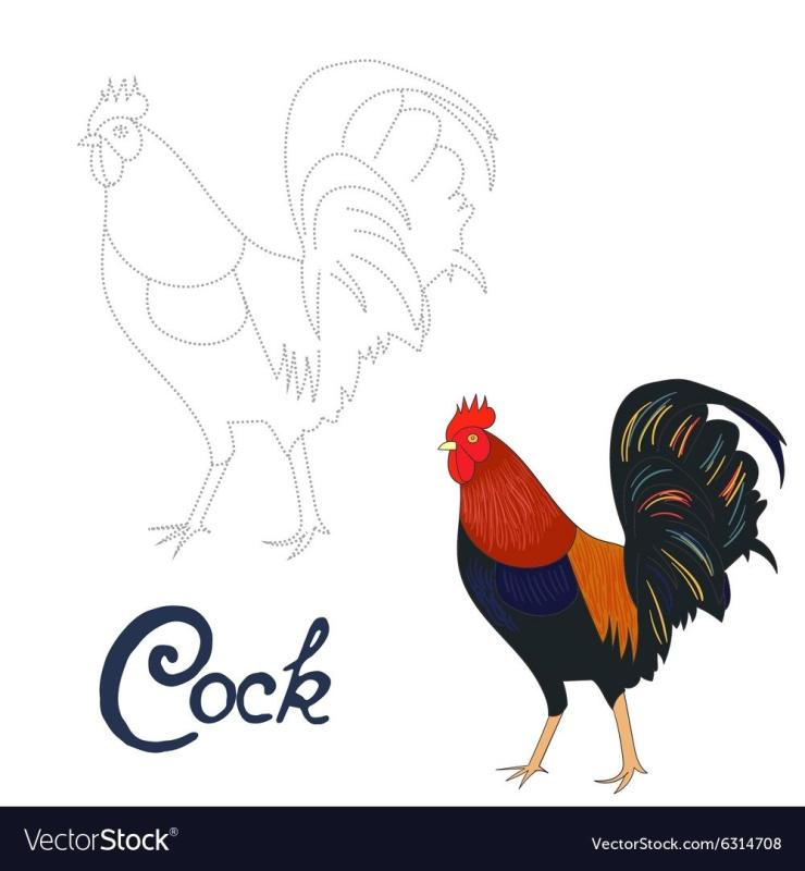 Анна Буччиарелли художник