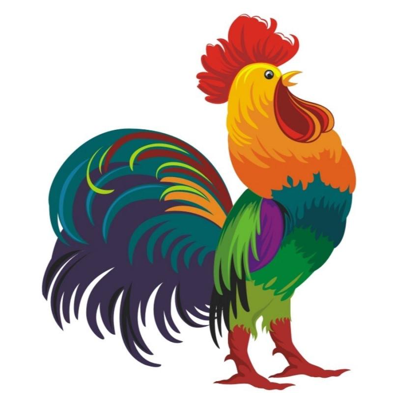 Петух рисунок