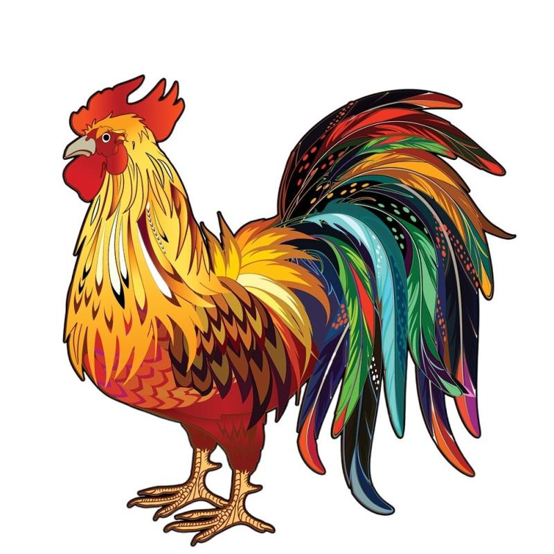 Петушок разноцветный детский