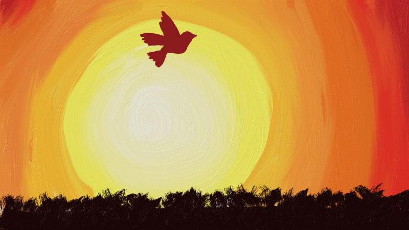 Рассвет иллюстрация