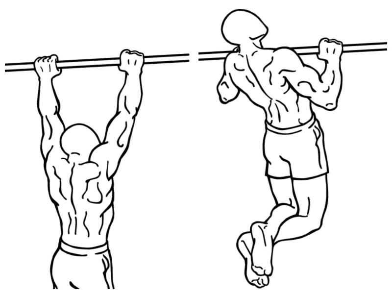 Подтягивание на перекладине рисунок