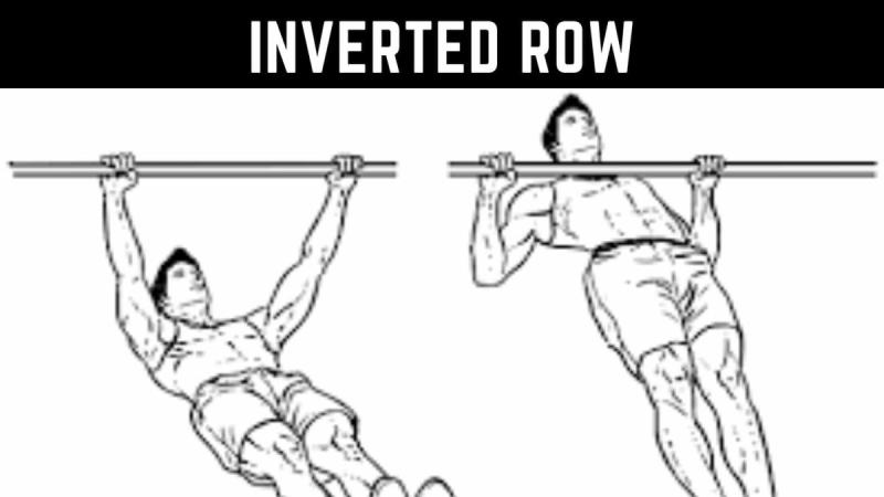 Турник карикатура