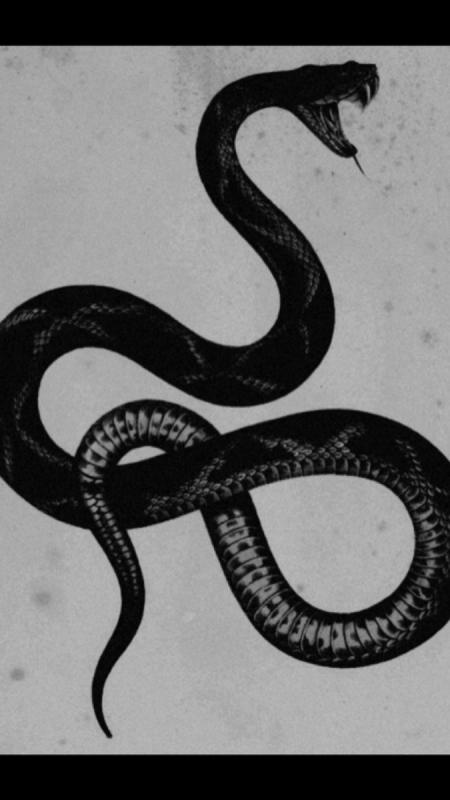 Гадюка рисунок