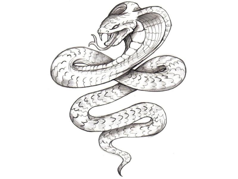 Татуировка мамба черная мамба