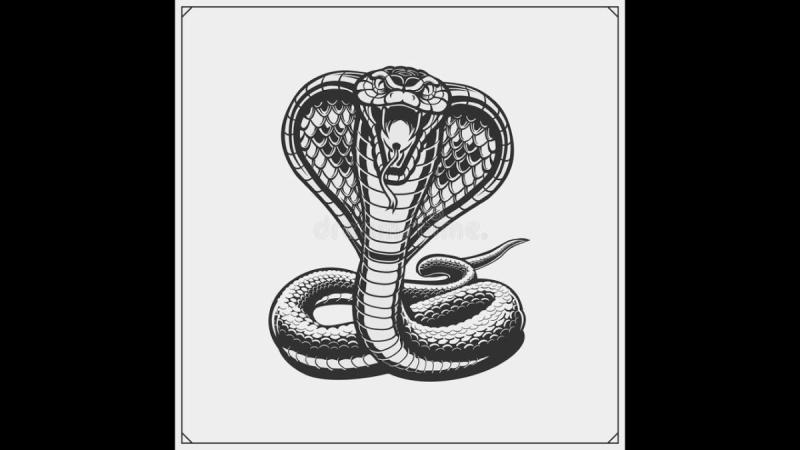 Змея карандашом