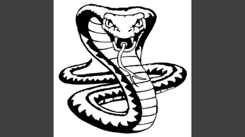 Тату змеи для срисовки