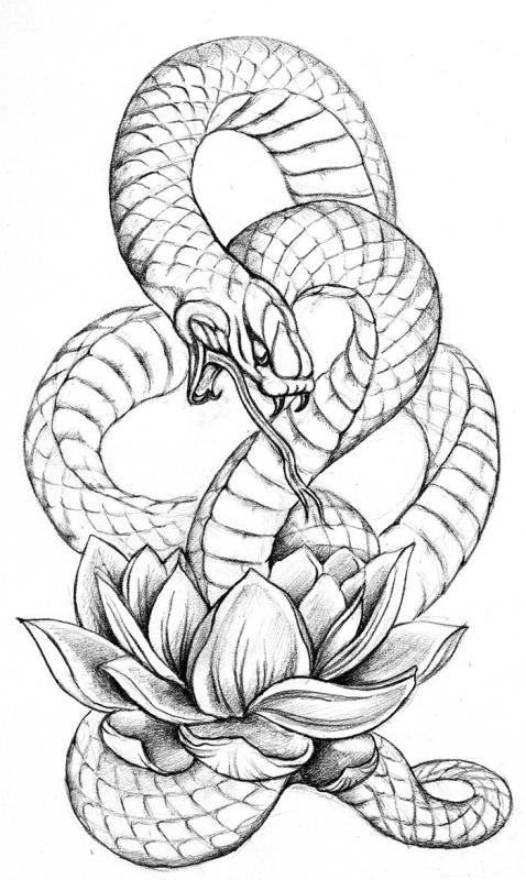 Тату змеи эскизы