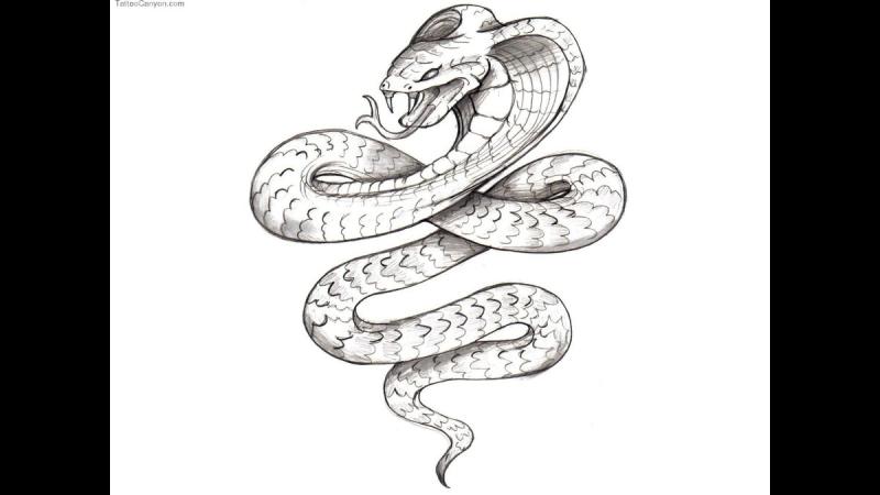 Тату змея
