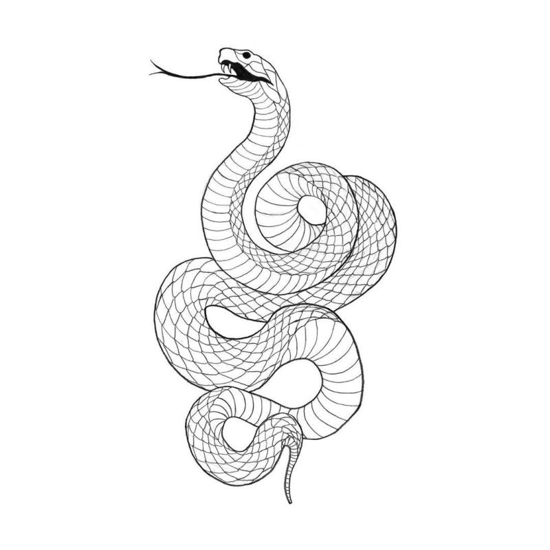 Змея раскраска