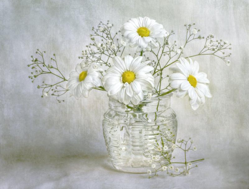 Картина букет ромашек