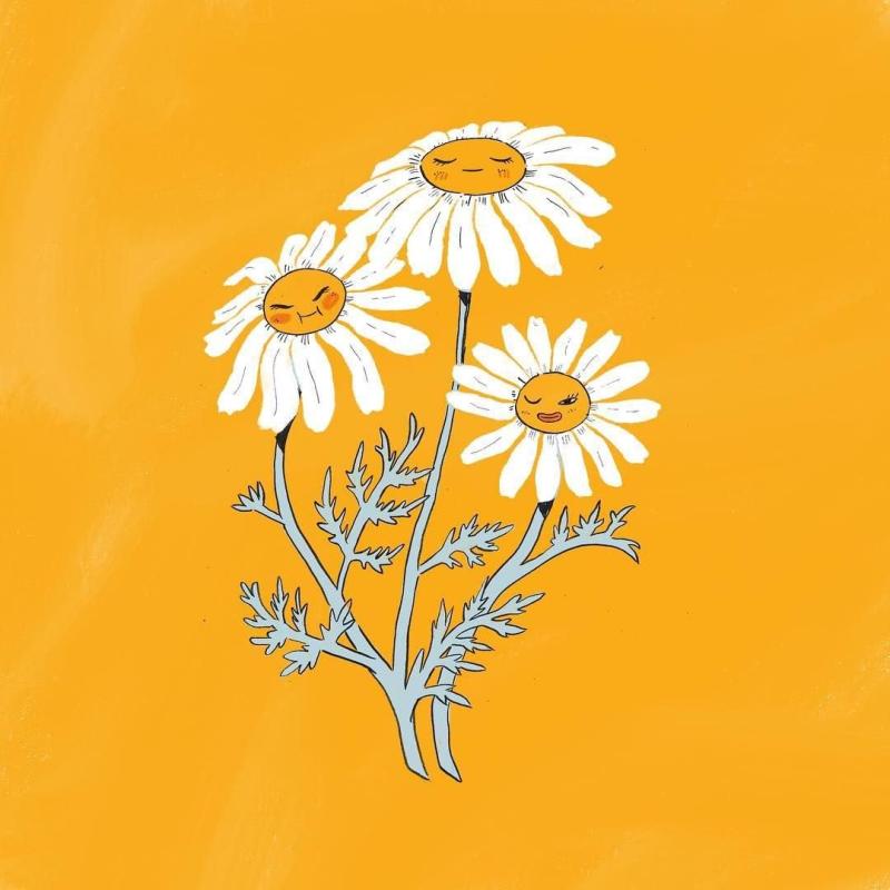 Доброе утро пятницы с ромашками