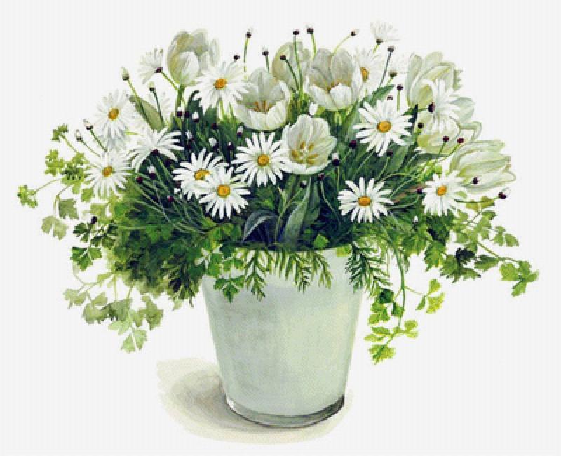 Букет ромашек раскраска