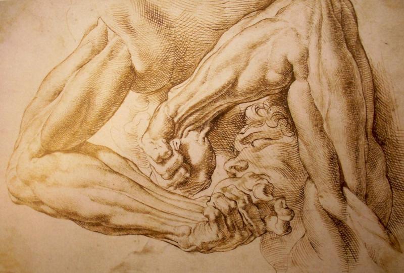 Экорше Микеланджело