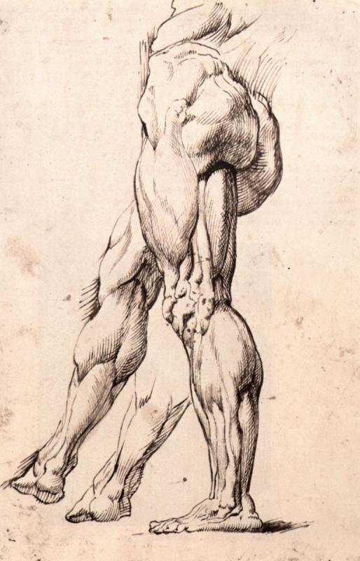 Рубенс Пауль Питер фигура рисунки