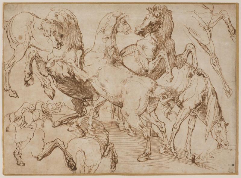 Рубенс лошади