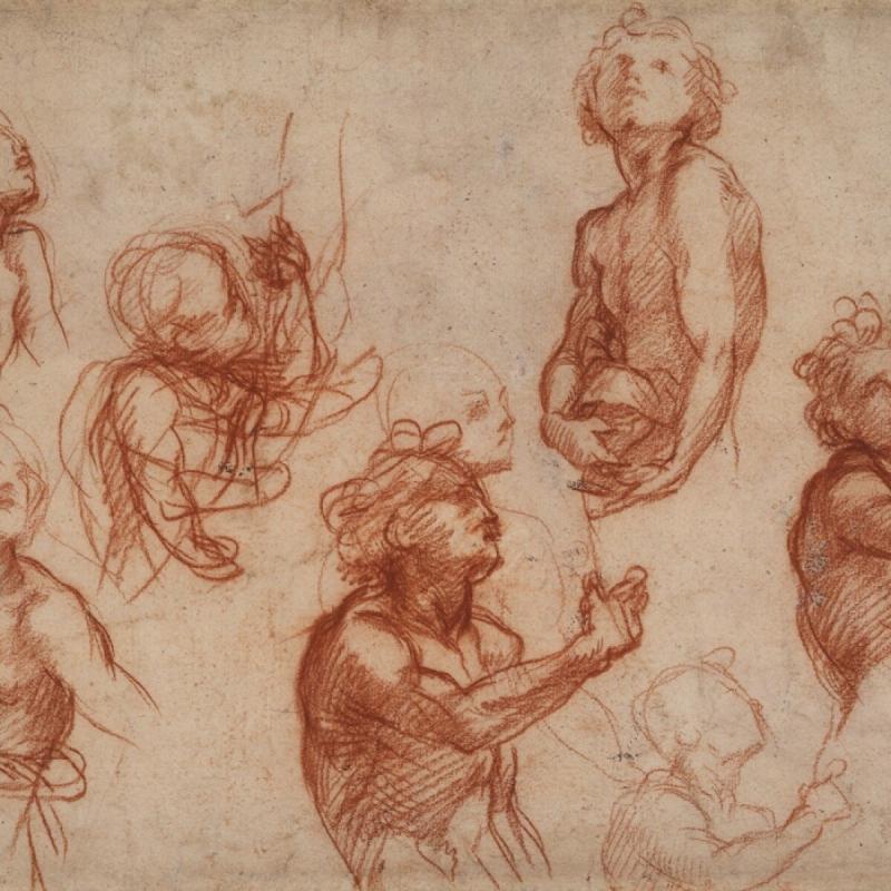 Андреа дель Сарто Наброски