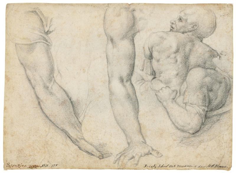 Микеланджело Буонарроти купальщики