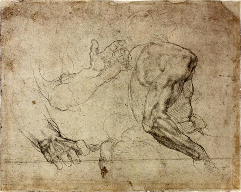 Анатомические штудии Микеланджело