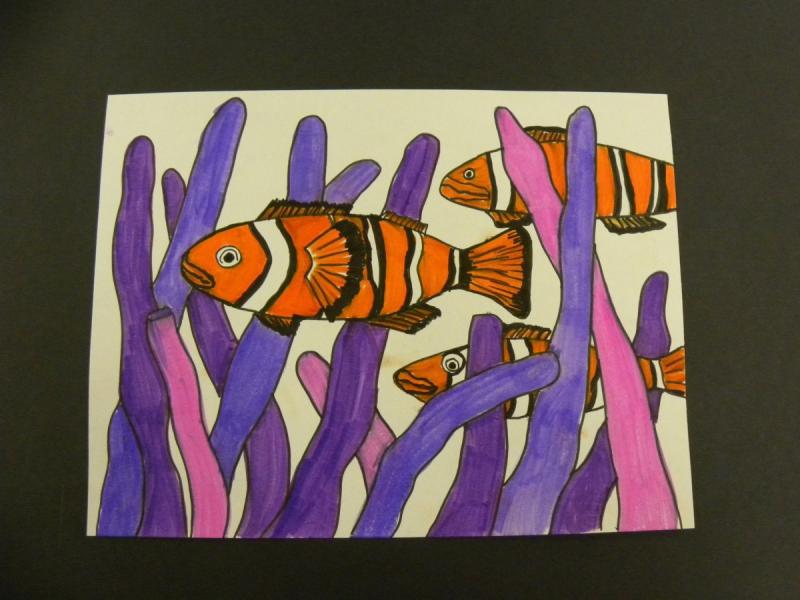 Рыба клоун рисунок для детей63