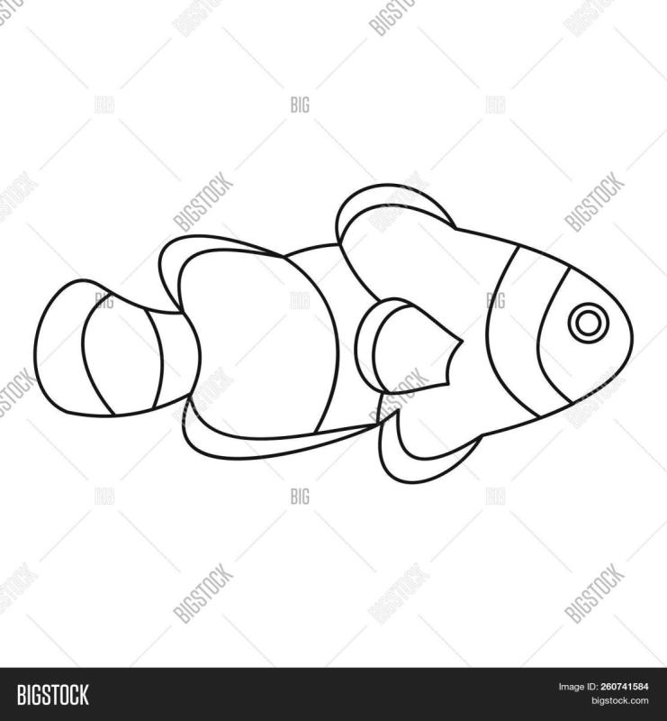 Рыба клоун эскиз