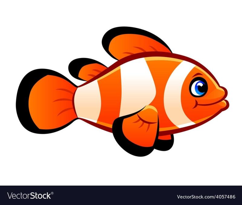 Рыба клоун сбоку