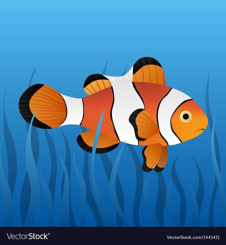 Рыба клоун Векторная Графика