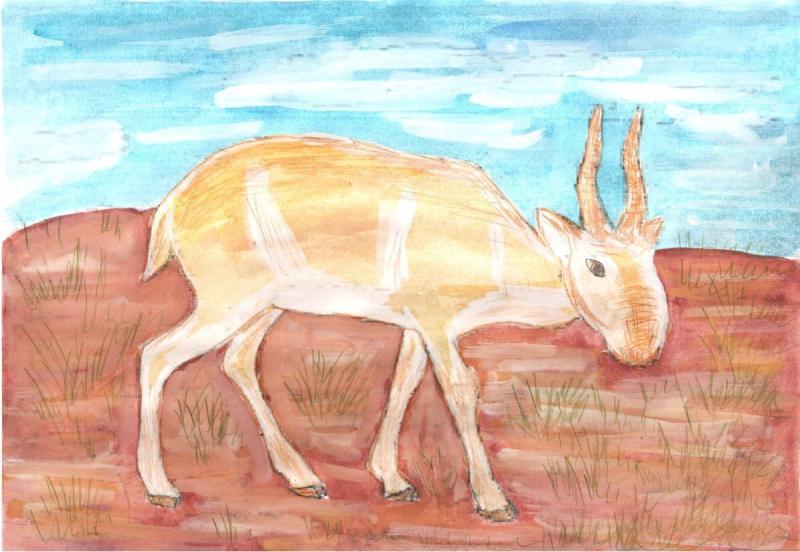 Семья сайгаков