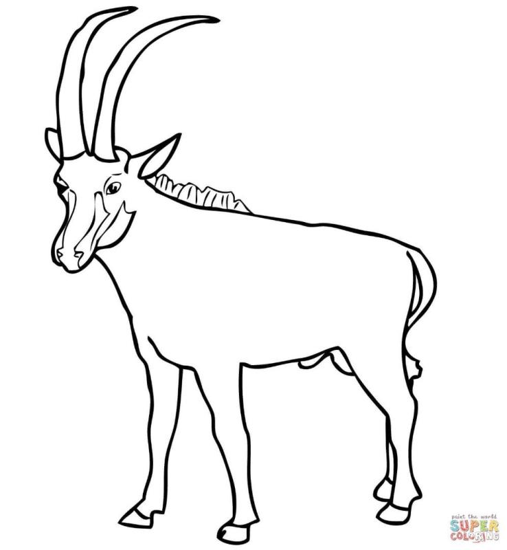 Антилопа раскраска