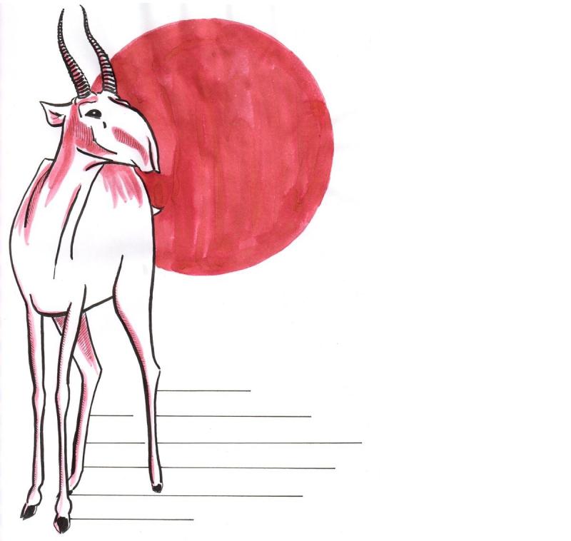 Голова антилопы