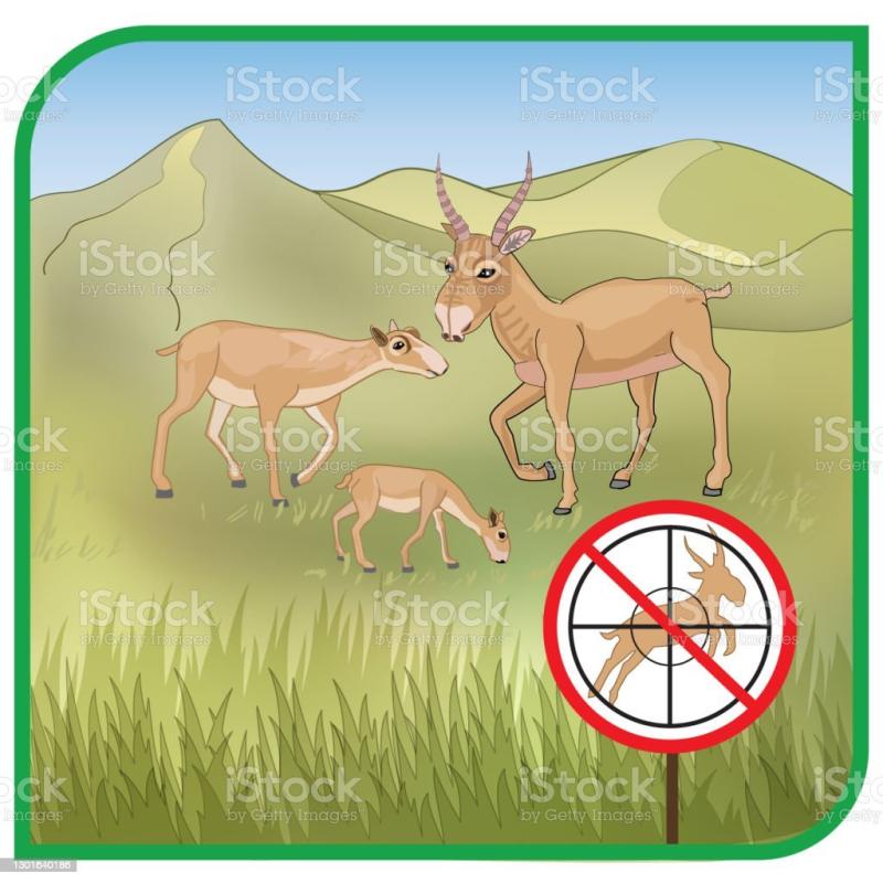 Защити антилопу плакат