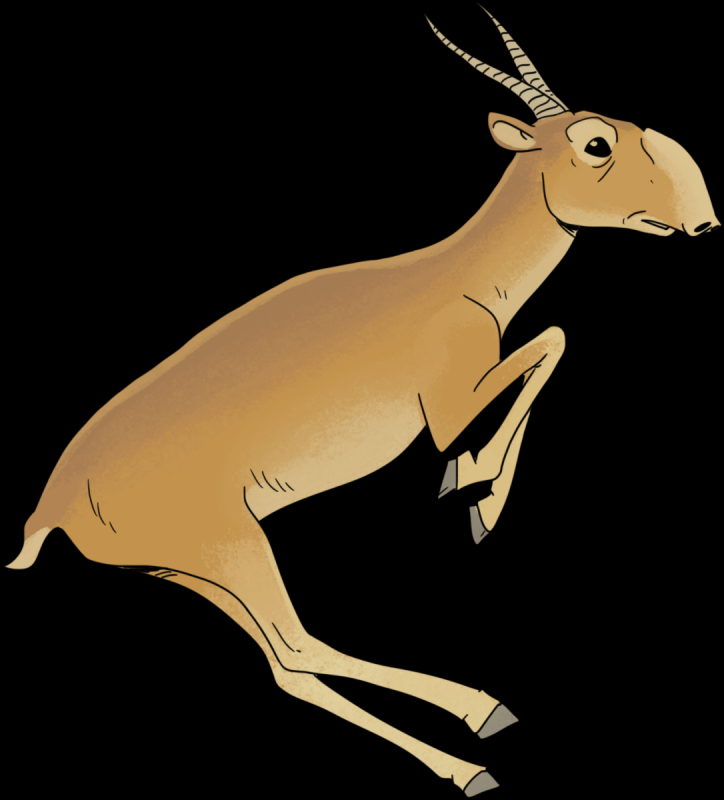 Сайгак Эволюция