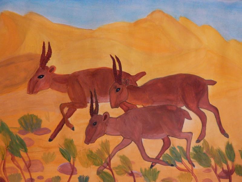 Антилопа Импала