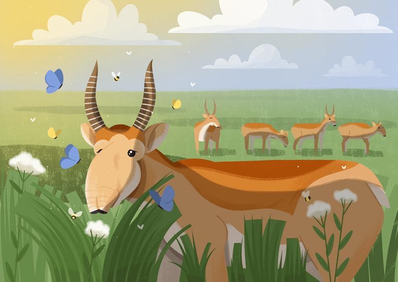 Картина Сайгак