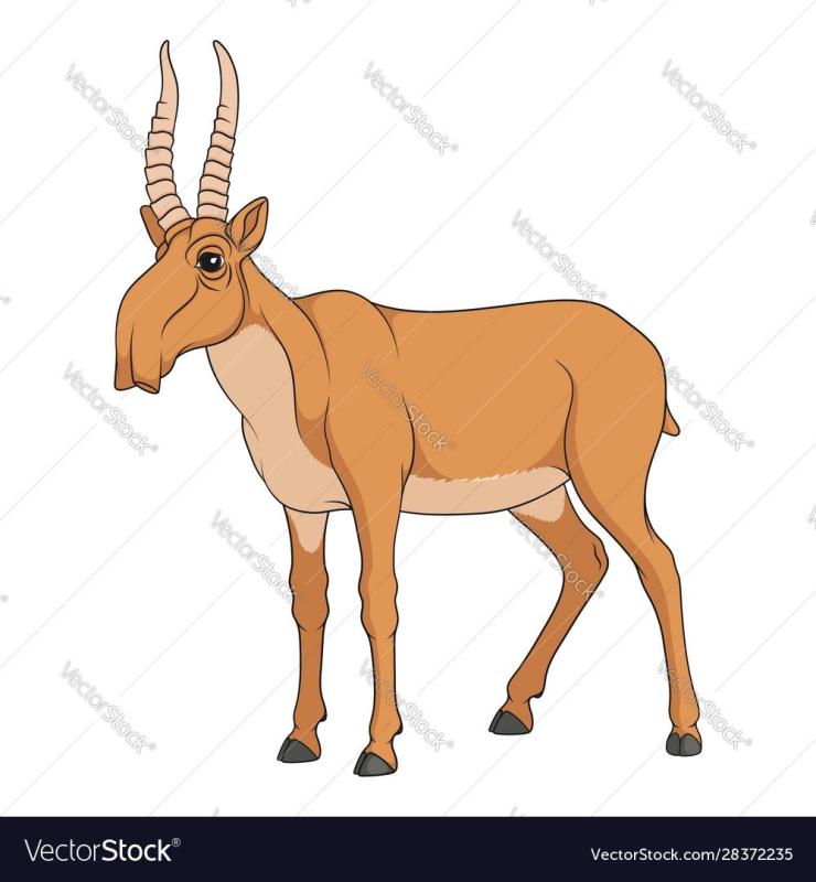 Сайгак на прозрачном фоне