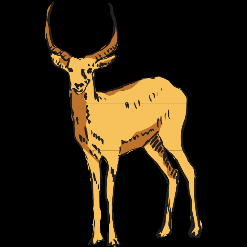 Сайгак раскраска для детей