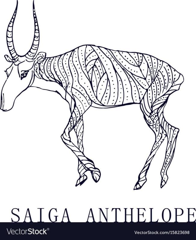 Конкурс рисунков на экологическую тему сайгаки