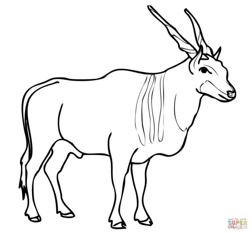 Сайгак Краса степи