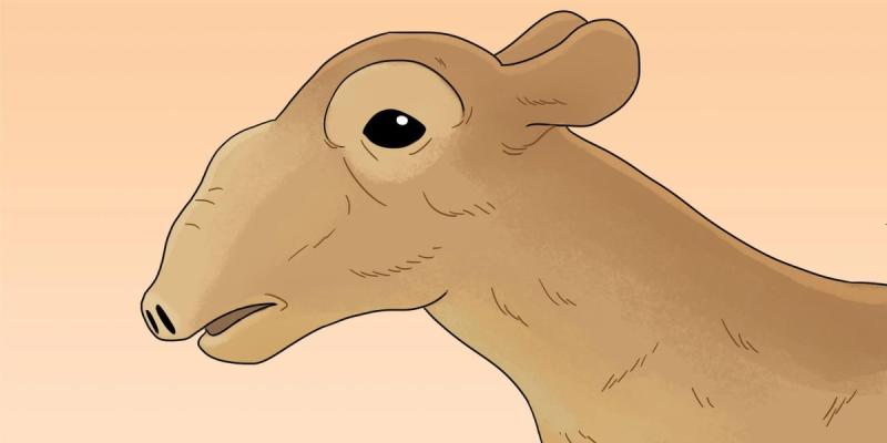 Картина Сайгак