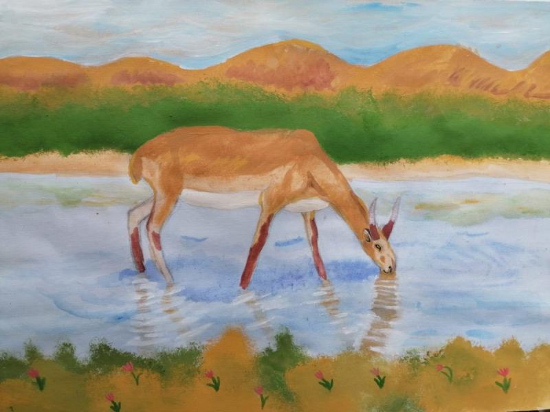 Сайгак вектор