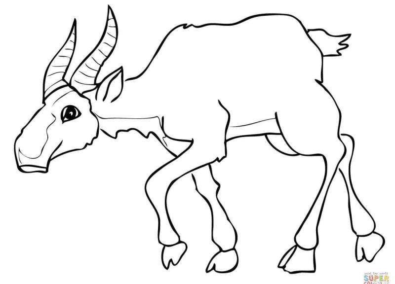 Сайгак раскраска для детей