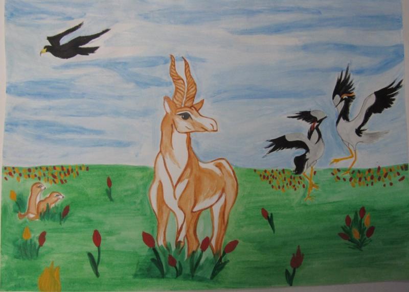 Антилопа раскраска для детей