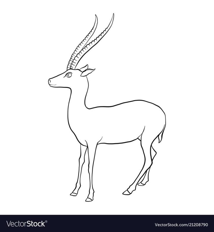 Антилопа Серна